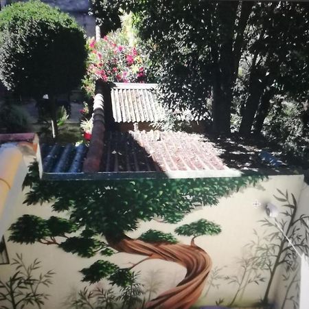 Suite Volupte Classee 3 Etoiles Avec Vue Sur Jardin, Climatisation Montpellier Bagian luar foto